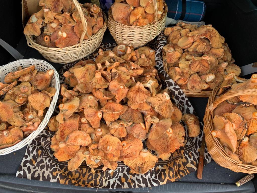 Hébergement de vacances La Traviesa De La Demanda Cabezon de la Sierra
