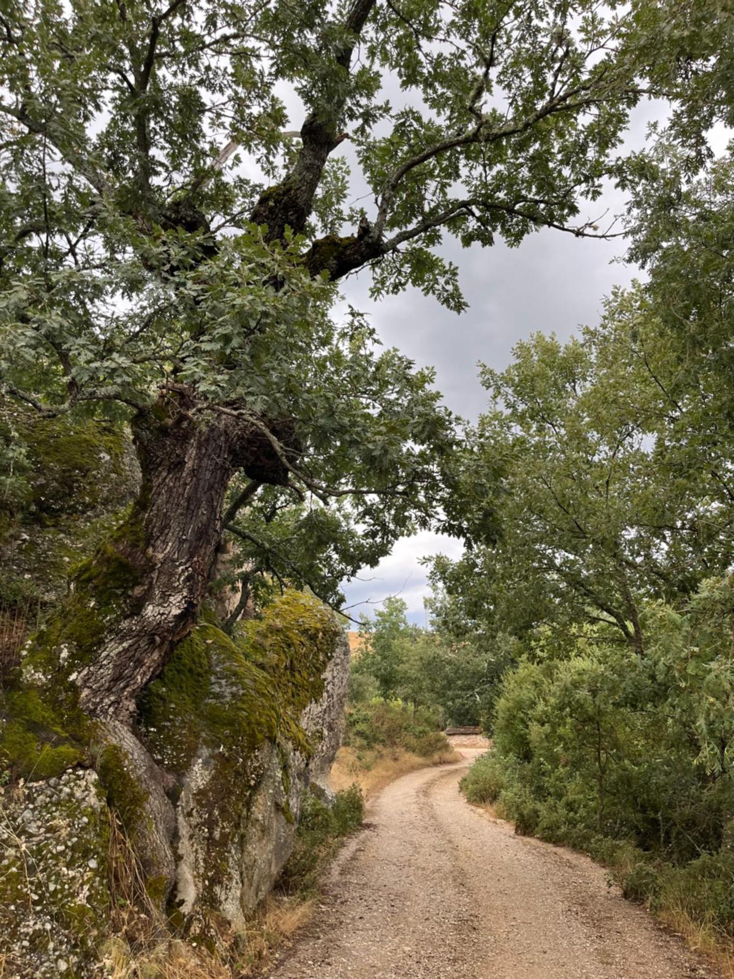 La Traviesa De La Demanda Holiday home *